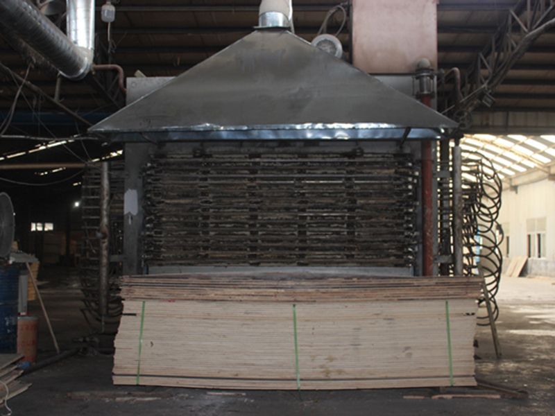 企業(yè)風(fēng)采