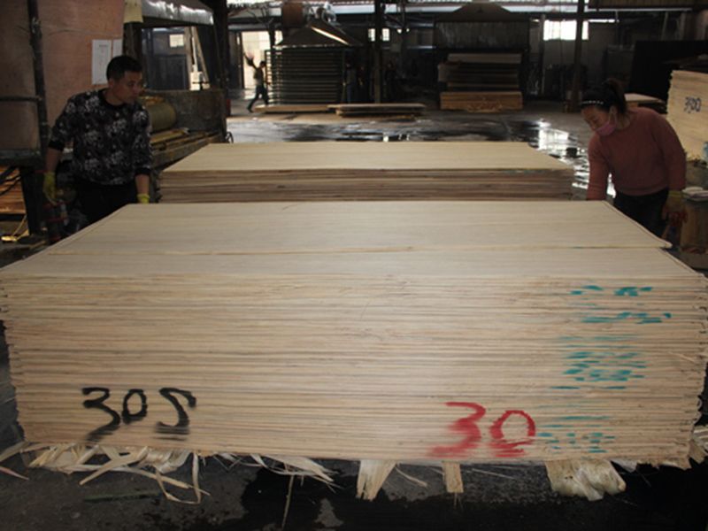 企業(yè)風(fēng)采